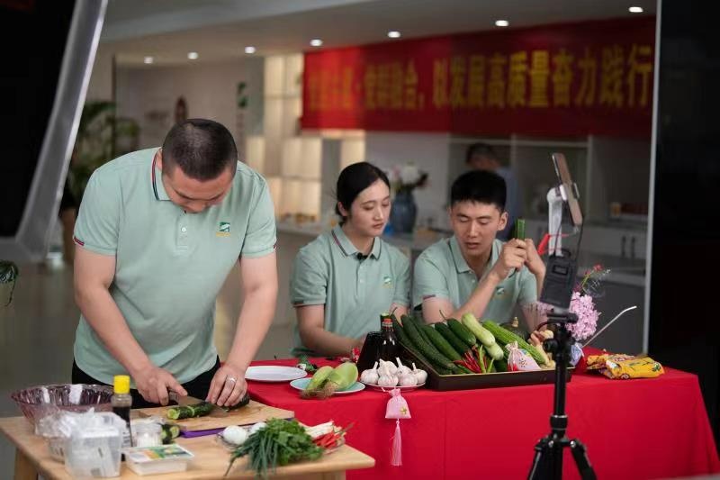 62ea6222ed379d1047e5405b38c9be4 62ea6222ed379d1047e5405b38c9be4