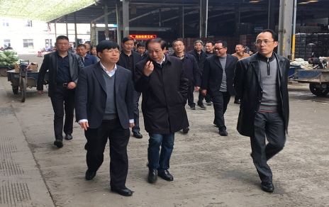 2017年3月16日下午，嘉興市委常委、常務(wù)副市長(zhǎng)樓建明帶領(lǐng)市級(jí)相關(guān)部門(mén)負(fù)責(zé)人視察嘉興蔬菜批發(fā)市場(chǎng)
