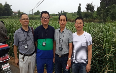 2014年8月，中國(guó)蔬菜流通協(xié)會(huì)會(huì)長(zhǎng)戴中久與公司、市場(chǎng)領(lǐng)導(dǎo)一起考察蔬菜基地