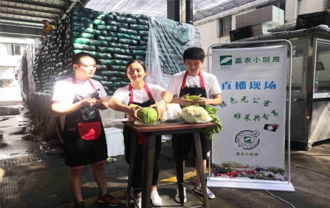 創(chuàng)意直播帶貨,本期專(zhuān)欄：蘭州高原夏菜！