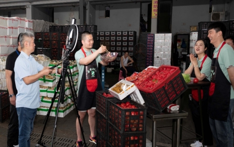 人間煙火氣，最撫凡人心  ---“嘉昕小廚房”本期主角：番茄！